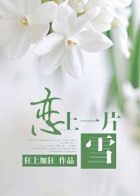恋上一片雪的同人文