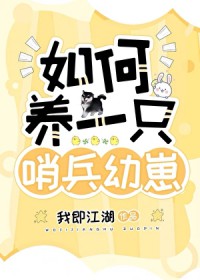 哨兵受的